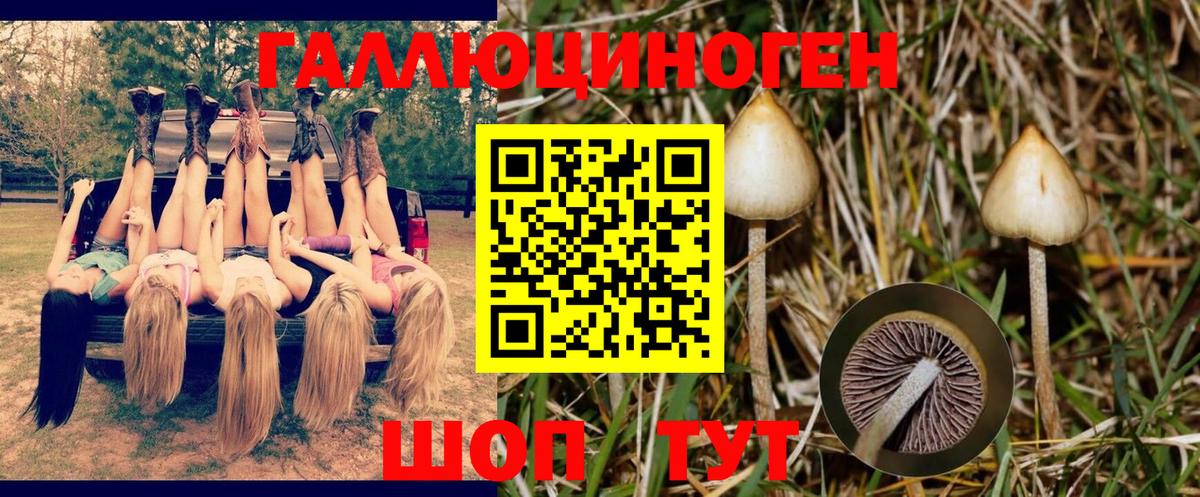 Псилоцибиновые грибы мухоморы  Вход с VPN  Вичуга 