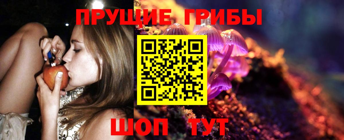 Галлюциногенные грибы Psilocybine cubensis Вичуга