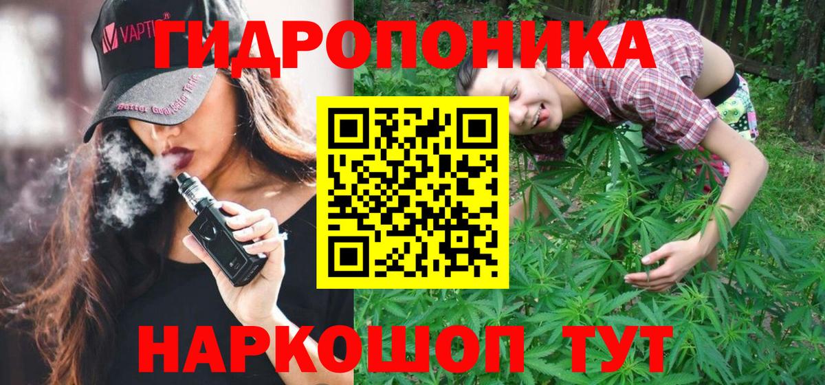 Бошки Шишки AK-47  Вход с VPN  Вичуга  МАРИХУАНА White Widow  Бошки Шишки AK-47 
